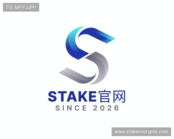 了解Stake官网